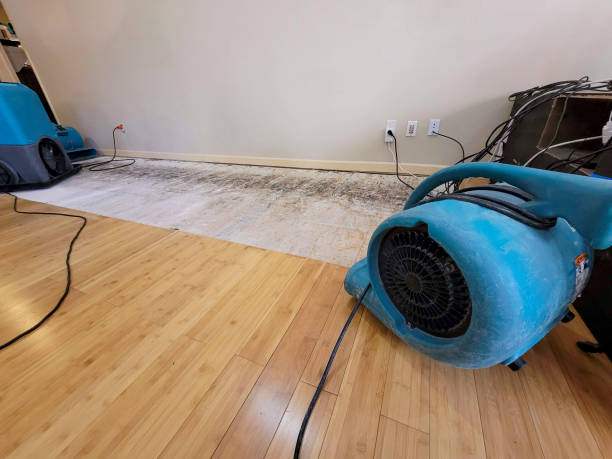 Professional Structural Drying technician working in Plymouth, PA
